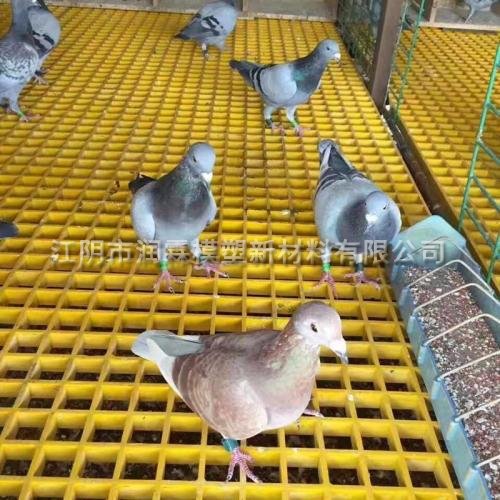 鴿舍玻璃鋼格柵