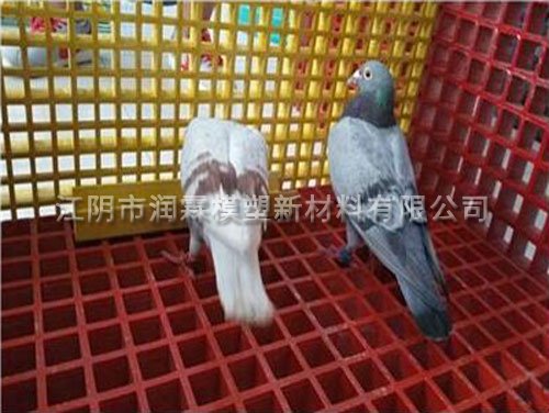 玻璃鋼漏糞板